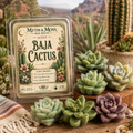 Baja Cactus Wax Melts