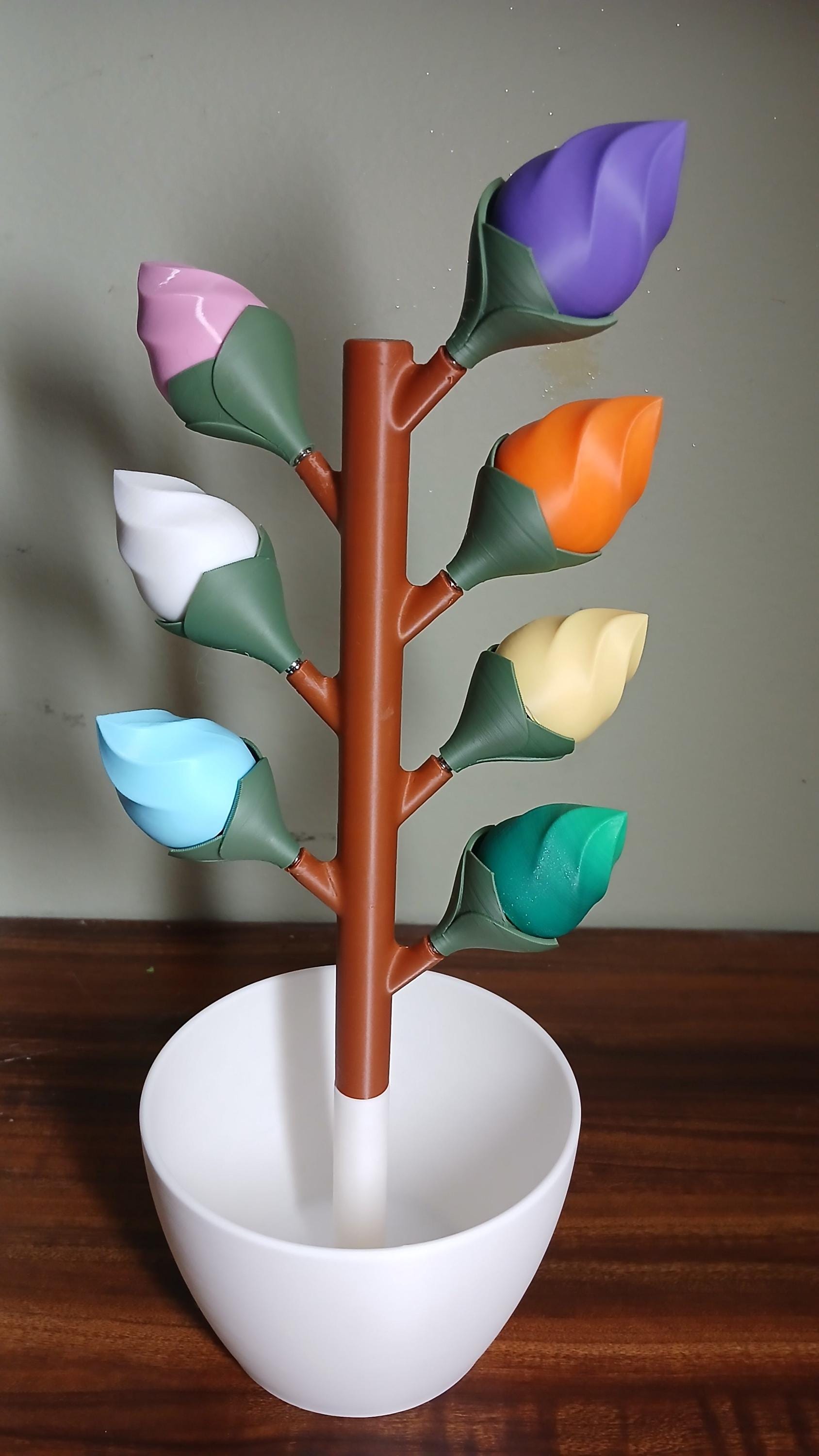 AM PM Budsy Flower Pill Organizer | 3D Printed Weekly Medication