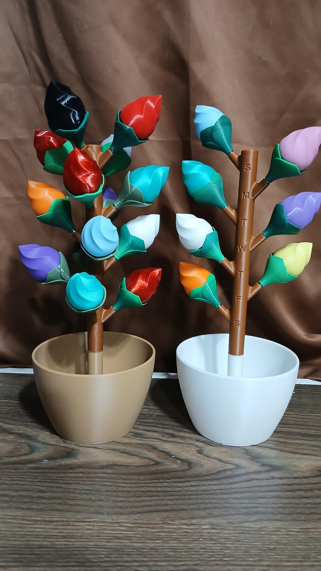 Large AM PM Budsy Flower Pill Organizer | 3D Printed Weekly Medication Box | Magnetic Bloom Flowers