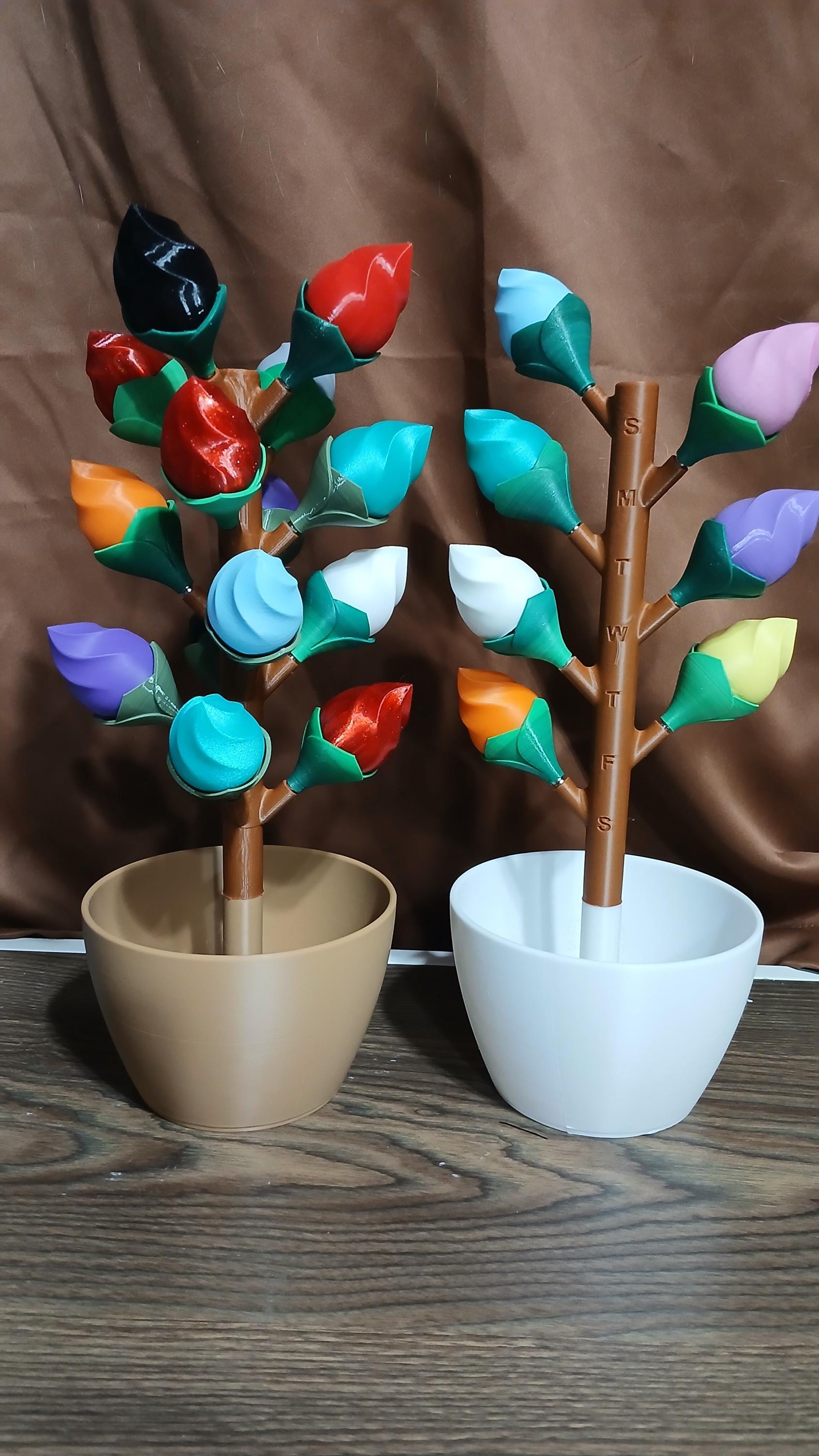 AM PM Budsy Flower Pill Organizer | 3D Printed Weekly Medication Box | Magnetic Bloom Flowers